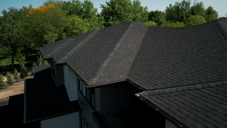 Best Sheet Metal Roofing  in Homestead, PA