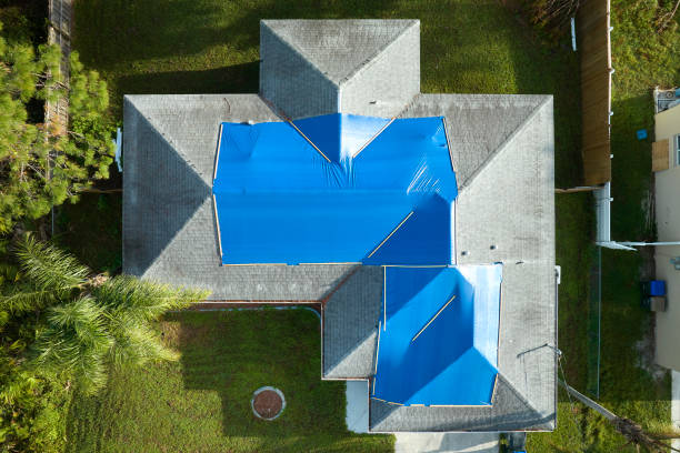 Best Roof Coating and Sealing  in Homestead, PA