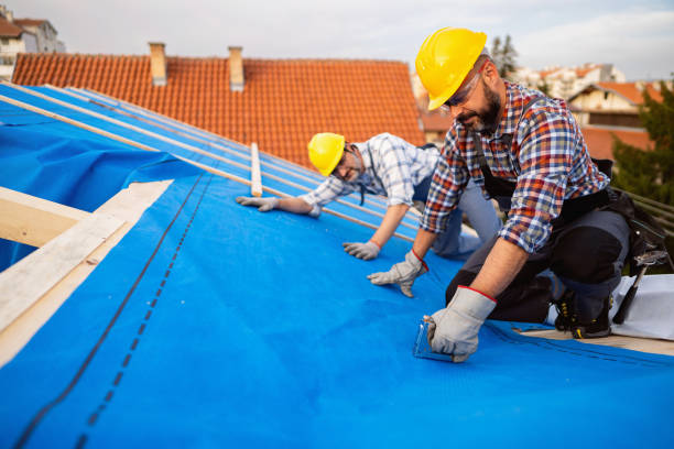 Roof Insulation in Homestead, PA