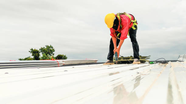 Best Roof Insulation Installation  in Homestead, PA